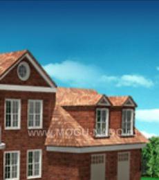 ���� ���