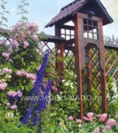 ��� ������ �������