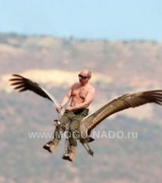 �������� �������