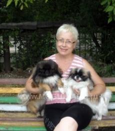 ��������� ���������