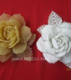 ���� ���������