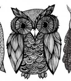 ������ ���������