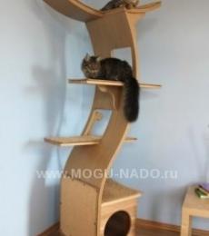 ��������� �����