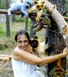 ������� �������