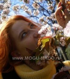 �������� ���������