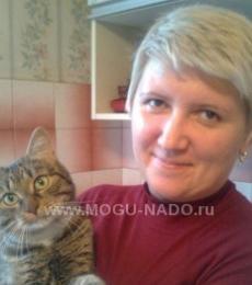 ������ �����