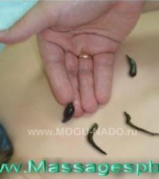 ������������� ������� ��������