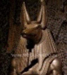 Anubis