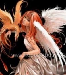 ������� ���